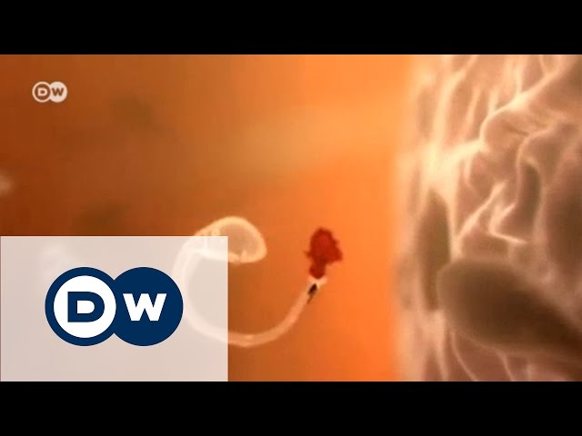 Eshakda qora tanlilar onlayn