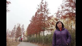 1071129台兒莊 紀念館1