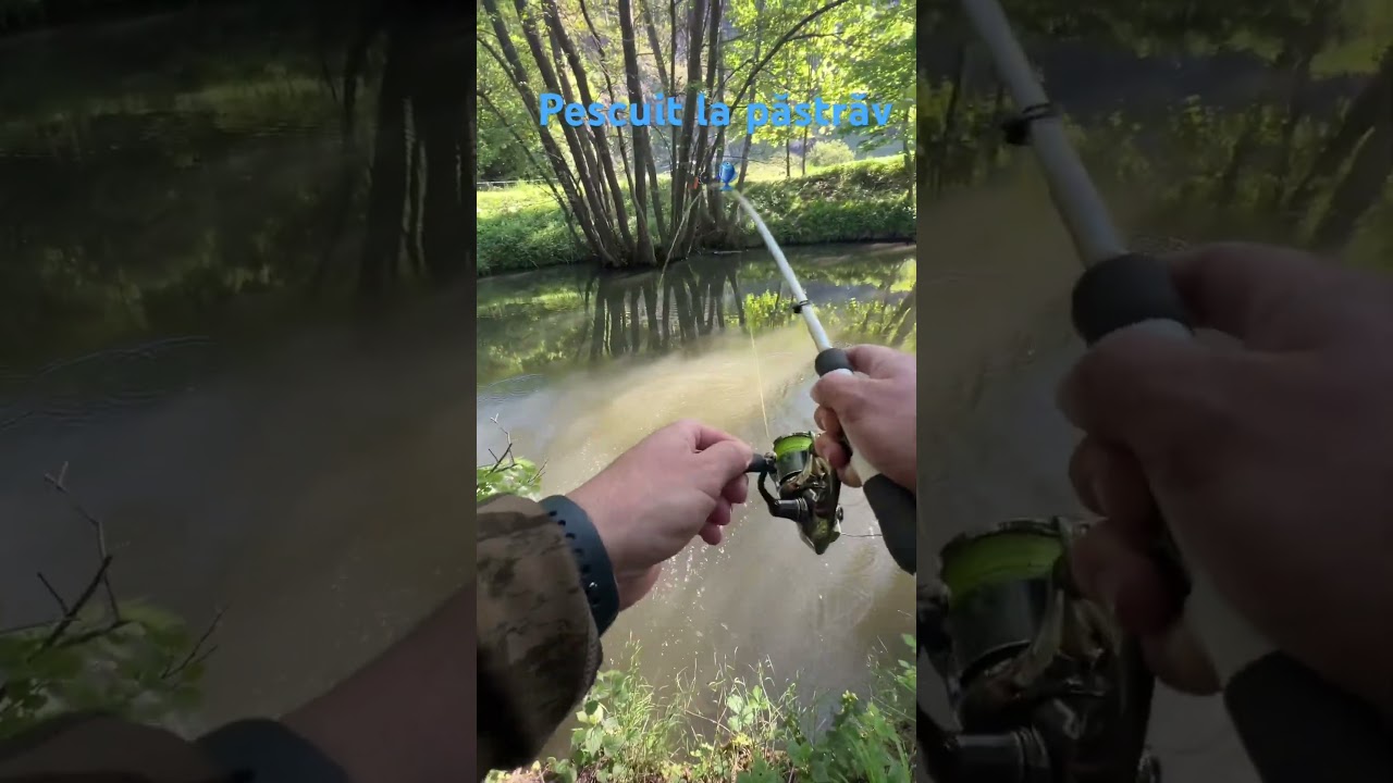 Pescuit la păstrăv 🎣 