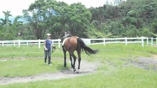 20120429莊容瑜教練對威爾森調教索暖身2