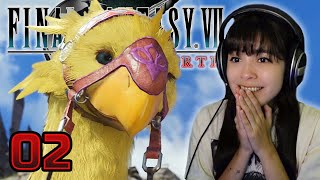 WRANGLING A CHOCOBO | Final Fantasy VII Rebirth Lets Play Part 2
Feel like everything has been leading to Rebirth! We started Remake about a year ago, later leading to us playing the ORIGINAL Final Fantasy 7 and Crisis Core. Now here we are finally getting our hands on Rebirth! HUGE THANKS to Square for gifting me a copy of the game to share my experience with all of you guys! Lets go on this journey once again!!
0:00 Queens Blood
6:35 Exploring Kalm
21:18 On The Run
32:10 The Grasslands
45:21 Chocobo Ranch
51:54 Wrangling a Chocobo
57:23 Chadley 😑
1:03:49 Riding a Chocobo
━━━━━━━━━━━━━
😊Subscribe for more!
Make sure to give this video a thumbs up and let me know what I should play next down in the comments!
━━━━━━━━━━━━━
💳 Become a Member today to get access to:
- The full unedited version of this video
- My personal Snapchat
- The Discord server
- Custom emotes in my streams and comments
- Progressive member badge to stand out in streams/comments
➡ https://www.youtube.com/channel/UCqbwH7ij2Ch-GWW7cKdSpGA/join
━━━━━━━━━━━━━
💳 Donate to help support the channel: https://streamlabs.com/angelalyx1
Anything would be appreciated but nothing expected!
🎁 My Wishlist: https://throne.me/u/angelalyx/wishlist
🔗 My Linktree: https://linktr.ee/angelalyx
━━━━━━━━━━━━━
🎮MY GEAR
Tecware Phantom Keyboard: https://amzn.to/3ia6MB8
Shure MV7 Microphone: https://amzn.to/2MXGUNg
Elgato HD60 S Capture Card: https://amzn.to/3qbQdHG
Sony ZV-1: https://www.amazon.com/dp/B08965JV8D?ref cm_sw_r_cp_ud_dp_V1J6ZJTJ2WZ5951W0TDT
━━━━━━━━━━━━━
🎨 Emotes done by arbakek ➔ https://twitter.com/arbakek
🎨 Emotes done by Musouka ➔ https://twitter.com/MusoukaArts
🎨 Sub Badges done by crash ➔ https://twitter.com/crashrwn
🎨 Youtube Banner done by GalooGameLady ➔ https://twitter.com/GalooGameLady
🎨 Livestream Overlays and Alerts done by Desmond Koh ➔ https://twitter.com/byReconz
━━━━━━━━━━━━━ WRANGLING A CHOCOBO | Final Fantasy VII Rebirth Lets Play Part 2