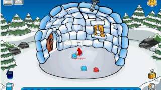 We need tester for the cp trainer clubpenguin storm 4.1 (me testing rockhopper)