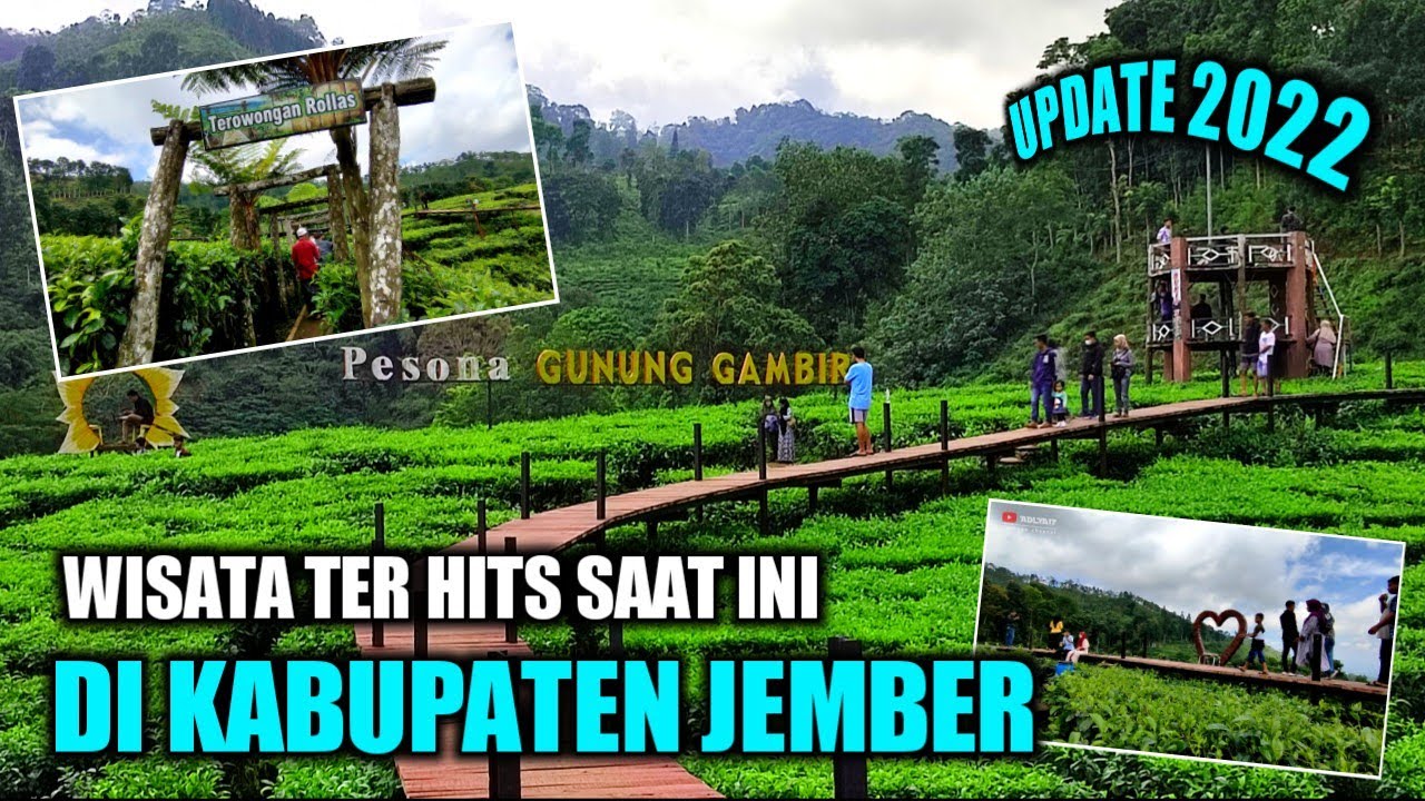 UPDATE 2022 || WISATA KEBUN TEH GUNUNG GAMBIR JEMBER-JAWA TIMUR