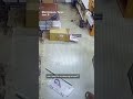 Loose monkey caught on camera rampaging through a music store in Tennessee