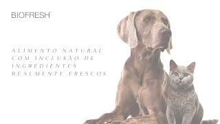 Lanamentos Biofresh Gatos