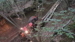 IMT 558 vuce 4 metara drva