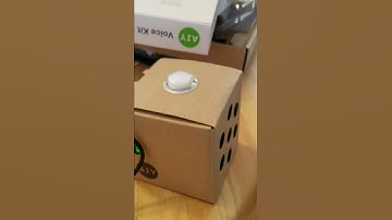 Google AIY Voice Kit