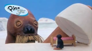 Pingu: Pingu Dreams