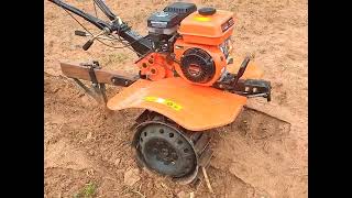 : Dia de plantar milho   