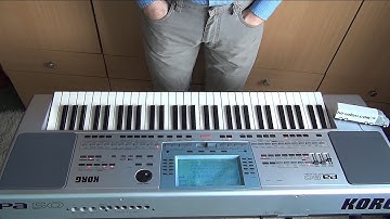 KORG PA 50 professional arranger synth performing Natural Beat music in 3D 4K UHD