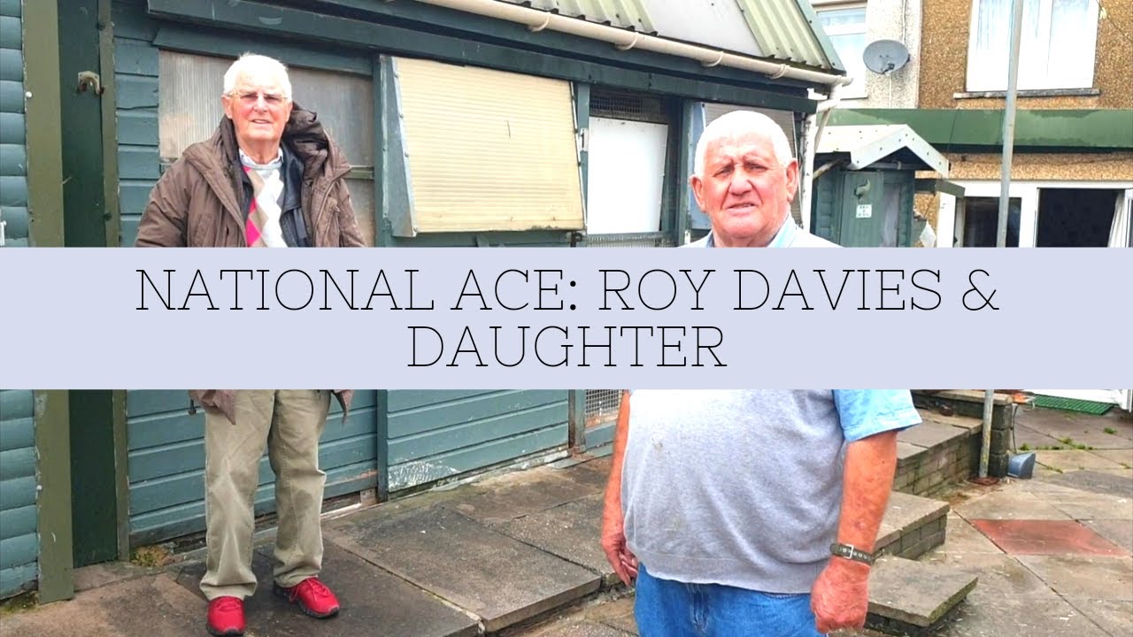 Голуби С. Б. и С. Харриса — национальные асы: Рой Дэвис и его дочь.