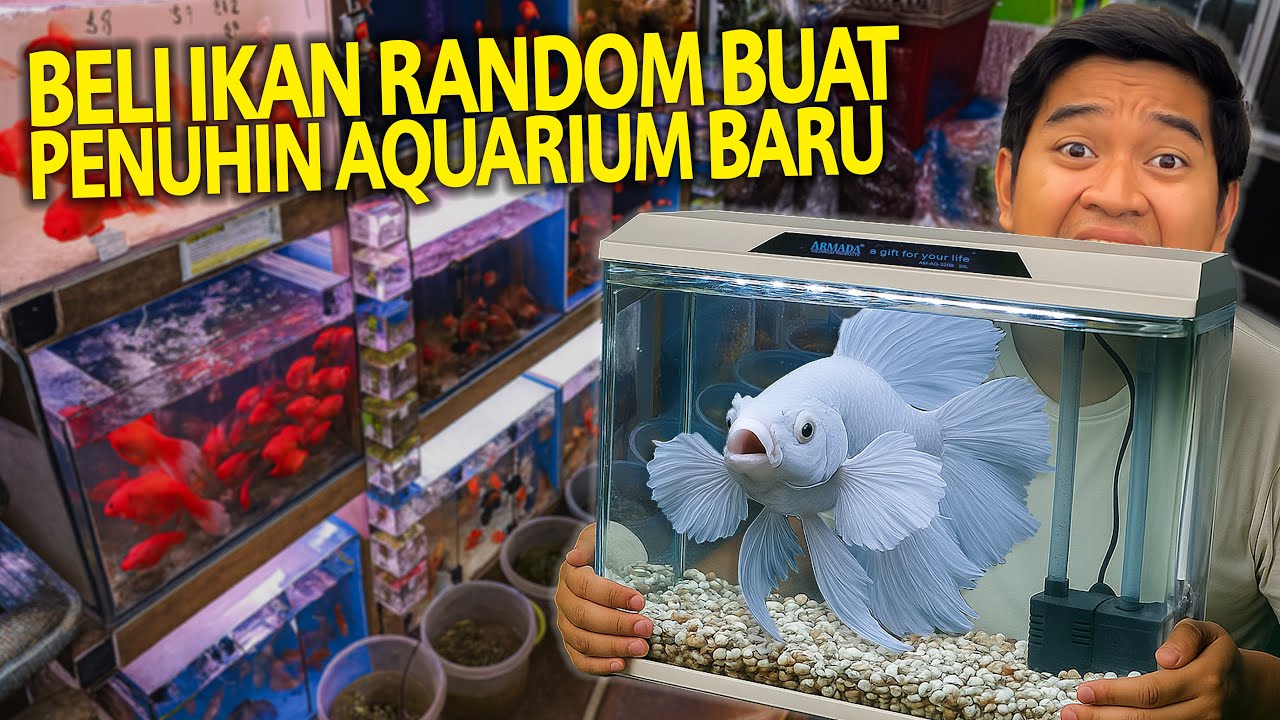 BELI IKAN RANDOM BUAT PENUHIN AQUARIUM ANTI RIBET TERBARU AKU! KITA ISI IKAN PREMIUM KEDEPANNYA!