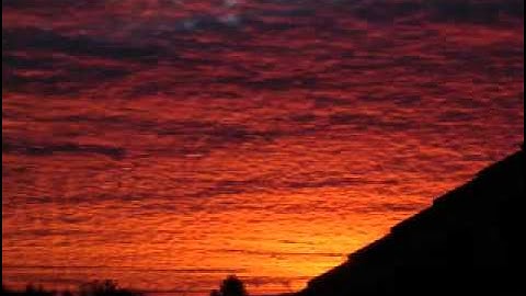 اجمل تلاوة للشيخ الصغير محمد البراك سورة التكاثر