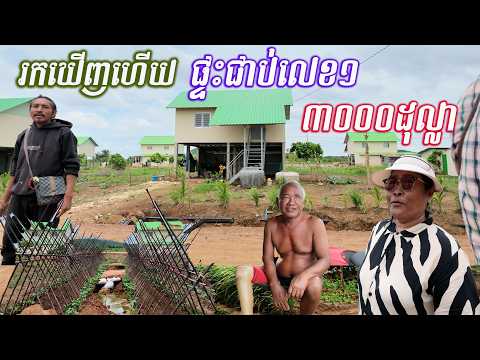 អបអរសាទររកឃើញម្ចាស់ផ្ទះរៀបចំផ្ទះដាំបន្លែដាំដុះស្អាតជាងគេទទួលបានប្រាក់រង្វាន់ចំនួន៣០០០ដុល្លា