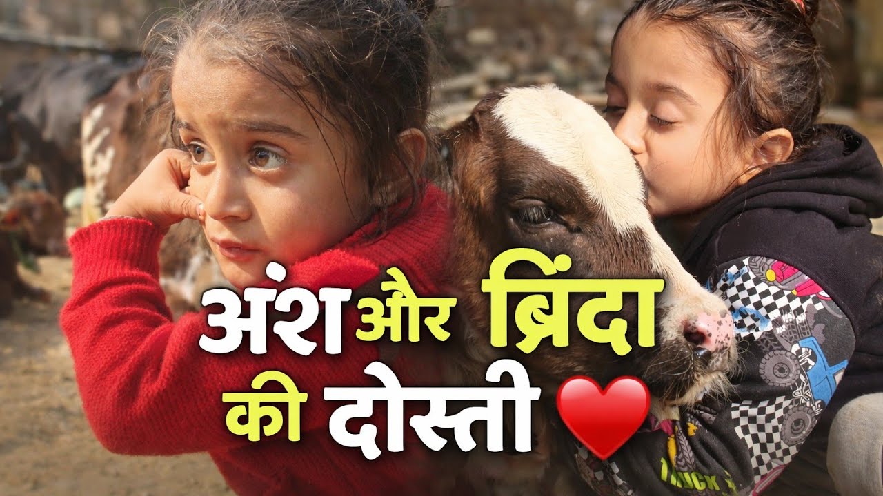 Ansh Aur Brinda Ki Dosti❤️| Bacchon Aur Janwar Ki Pyari Kahani |Friendship