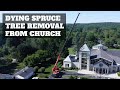 Large Spruce Removal with Crane at Saint Mary Magdalen in Media PA