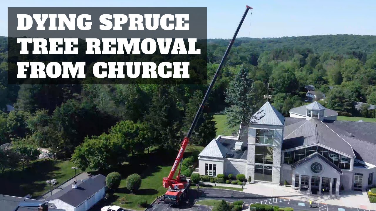 Large Spruce Removal with Crane at Saint Mary Magdalen in Media PA ...