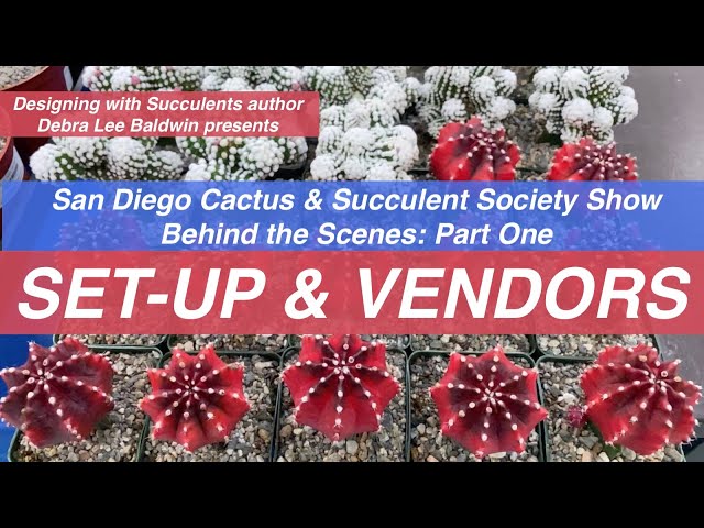 Behind the Scenes at Succulent Show - YouTube