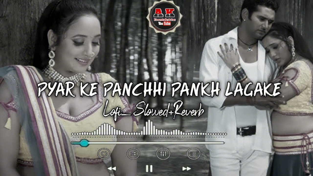 #slowed प्यार के पंछी पंख लगाके दूर तलग||#trending #slowedandreverb  #sadsong #viralvideo #bhojpuri