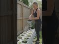The Ultimate Potato Bag Hack! 🥔✨