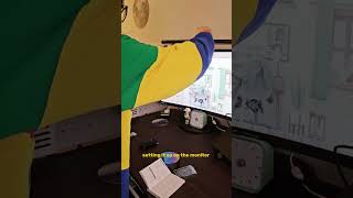 Quntis Screenlinear Glow, Monitor Light Bar With Remote15.7Inch.