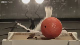 Ciencia Entretenida Planetario Chile Pluma Bola Caida Libre Vacio