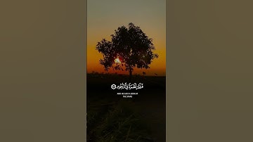 ﴿ فَمَا ظَنُّكُم بِرَبِّ الْعَالَمِينَ....﴾[ سورة الصافات]