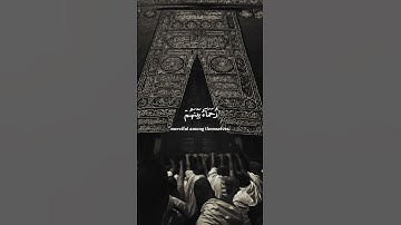 (محمد رسول الله ) | ياسر الدوسري | سورة الفتح | #قران_كريم
