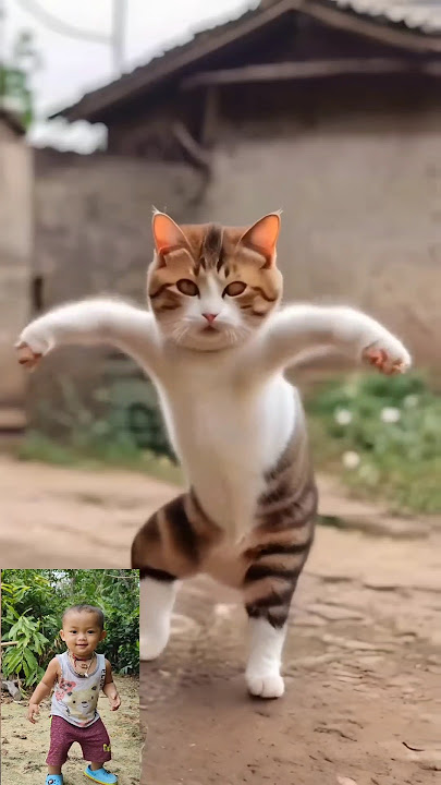 Cat Dance Funny Video 🤣🤣🤣 #shorts #viral #trending #youtubeshorts #catdance ||Cute cat dance