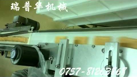 Swiss roll packing line/packaging system