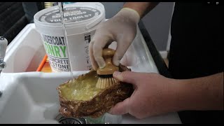 How to Care For Ball Pythons - The Joys of Cleaning!