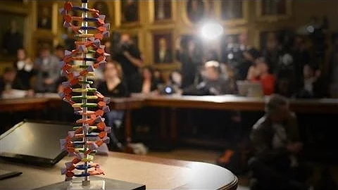 Nobel Prize Awarded for DNA Repair Research