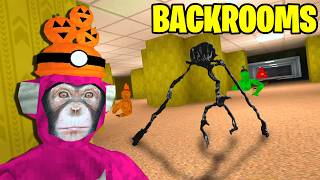 Big Scary's MASSIVE New Backrooms Update is INSANE!