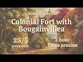 Colonial Fort & Bougainvillea 🌺 | 4 Sessions Pomodoro 25/5 | 2 Hours Classical Study Music