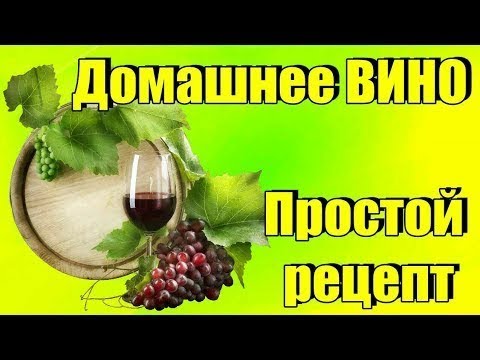 Как делать вино из виноградного сока в домашних условиях