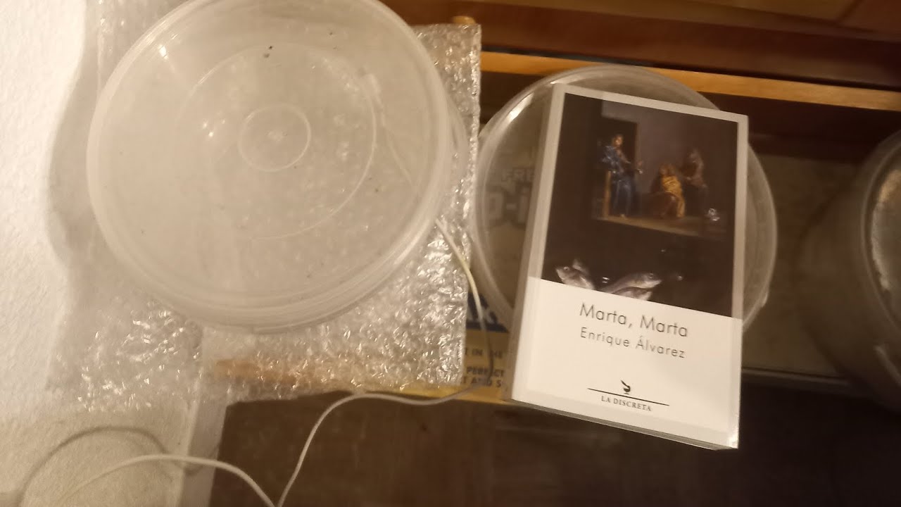 CRÍTICA DE MARTA, MARTA De Enrique Álvarez. La novela que nuestros eclesiásticos deberían leer.