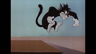 Tom And Jerry Episode 57