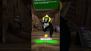 The New Rec Room ? #gorillatag #gaming