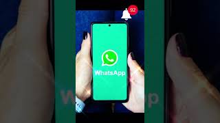 WhatsApp Voice Chats: What You Need to Know screenshot 3