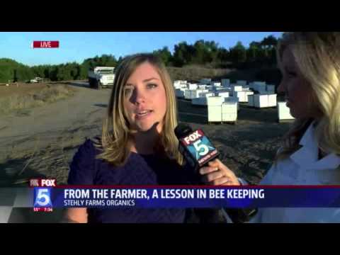 Girl Next Door Honey Fox 5 San Diego