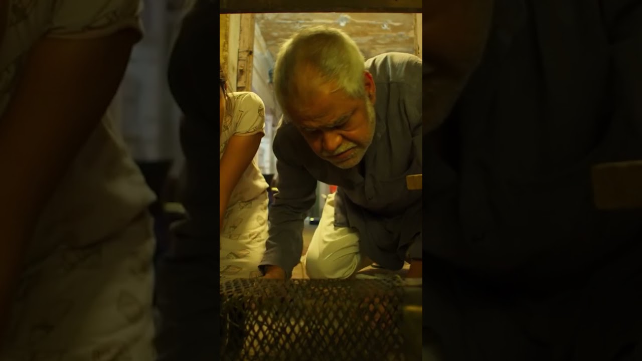 Vadh Movie Review | Rip It Boy