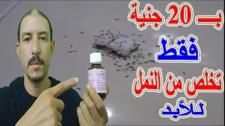 التخلص_من_النمل/تجربتي في التخلص من النمل ب20 جنية فقط