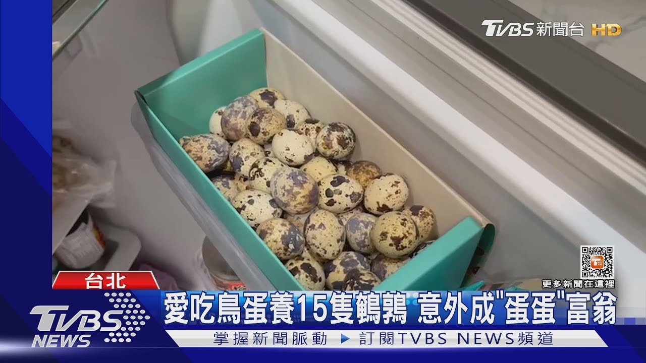 愛吃鳥蛋養15隻鵪鶉 意外成「蛋蛋」富翁｜TVBS新聞@TVBSNEWS01