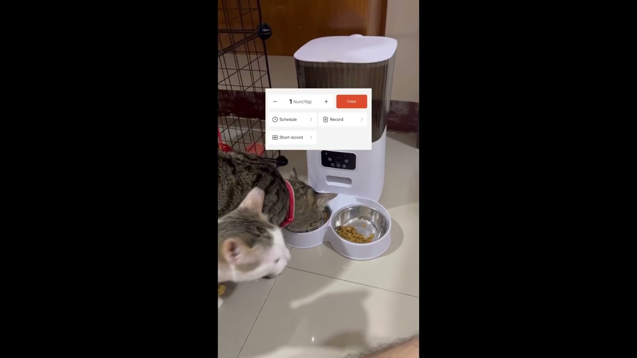 WIFI Smart Automatic Pet Feeder!  Shop Now: www.ezpetonline.com