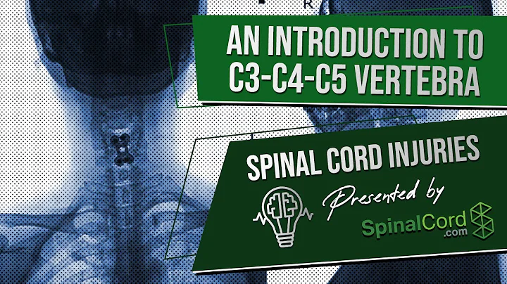 C3 C4 C5 Definitions. Cervical Spinal Cord Injury Symptoms, Causes, Treatments, and Recovery.