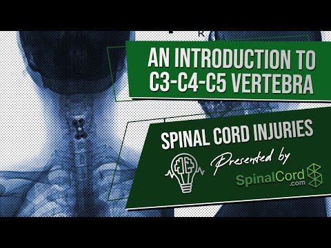 C3 C4 C5 Definitions. Cervical Spinal Cord Injury Symptoms, Causes, Treatments, and Recovery.