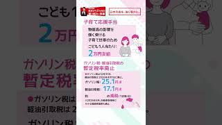 就任から3か月の高市内閣の取り組みと実績【LDP TOPICS】1分解説