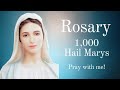 Praying the Rosary of the 1000 Hail Mary’s