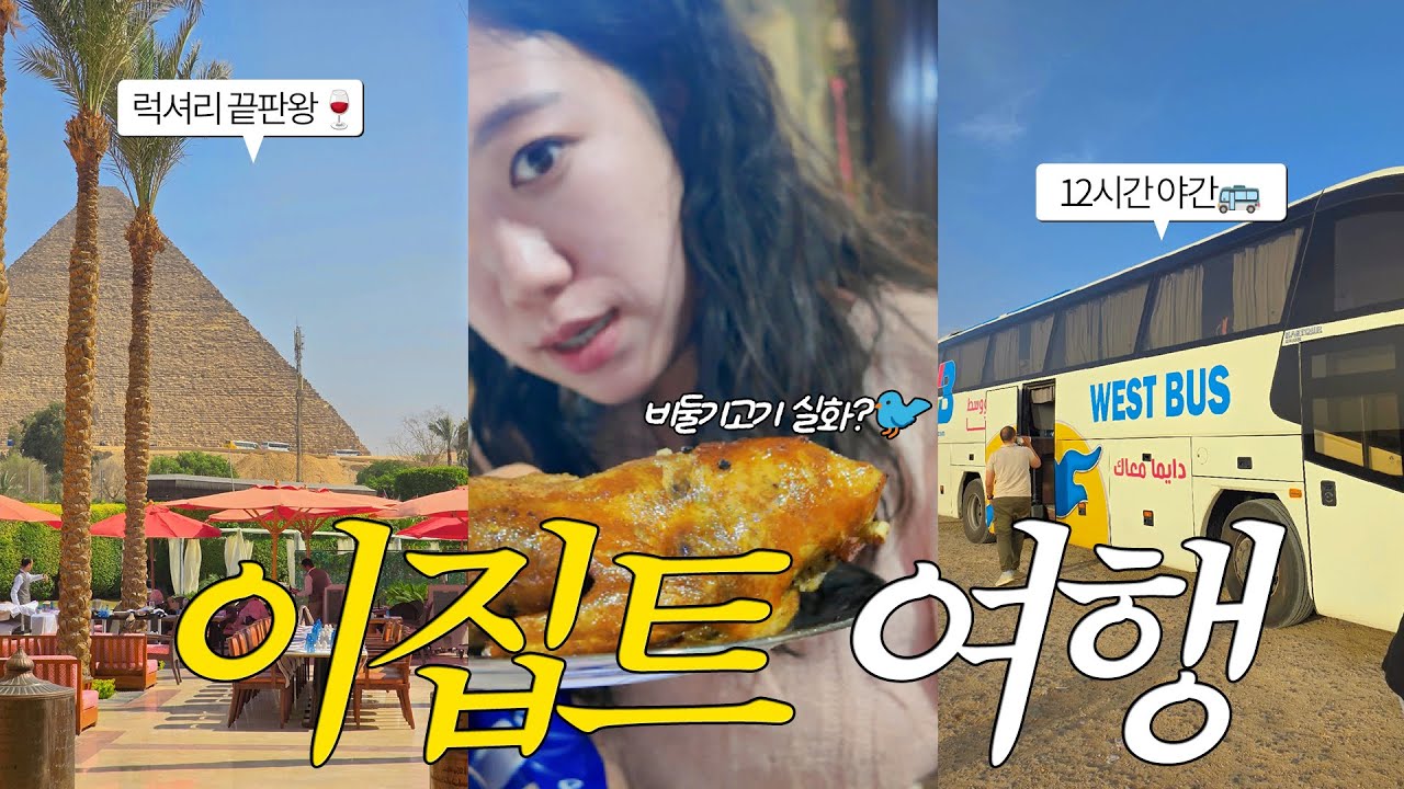 비둘기 고기 실화? 이집트 여행 피라미드뷰 럭셔리 호텔 맛집, 시와행 야간버스 12시간 이동기