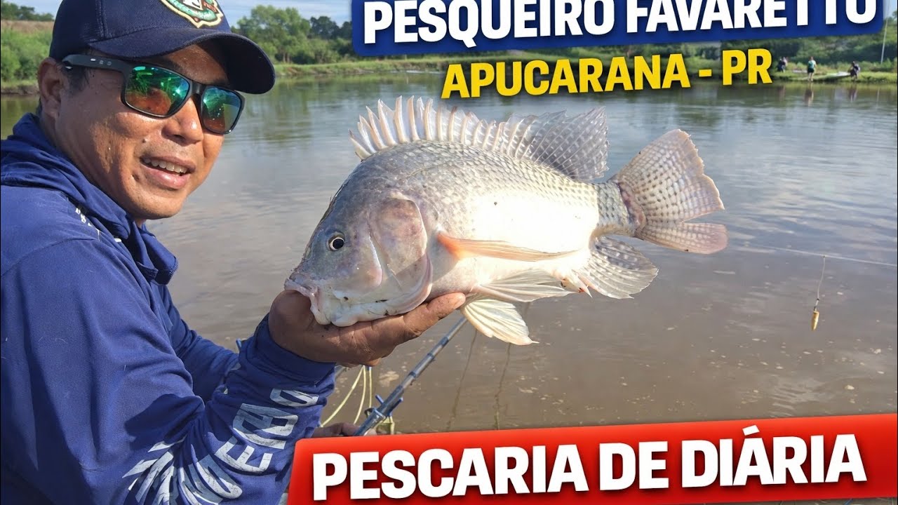 Só tilapão top. Pescaria de Diária. Pesqueiro Favaretto- Apucarana - PR. 